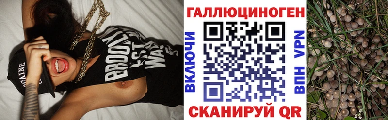 Купить закладки  Балабаново  Галлюциногенные грибы прущие грибы 
